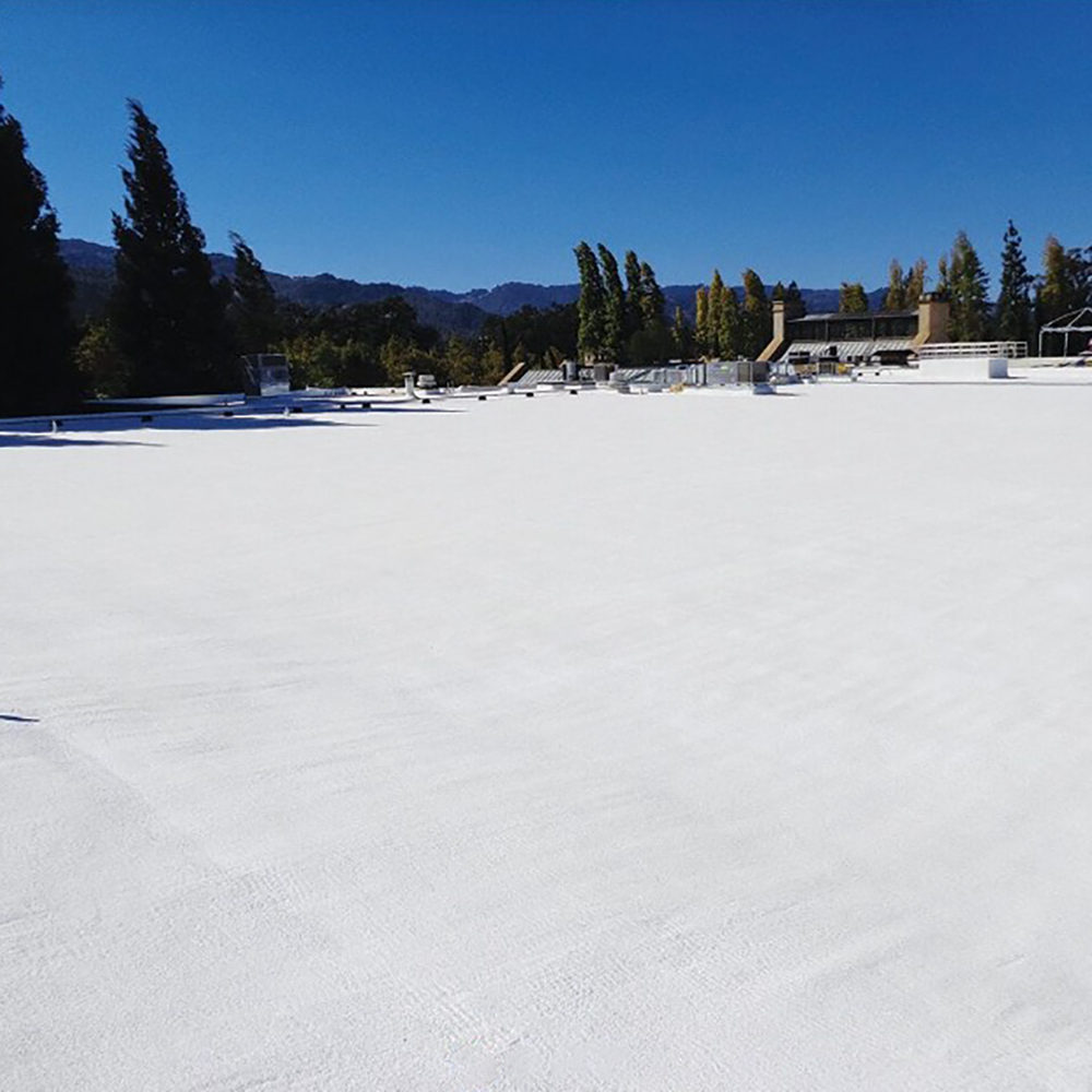 5 Gal Gaco S2000 White GacoFlex 100% Silicone Roof Coating - Image 4