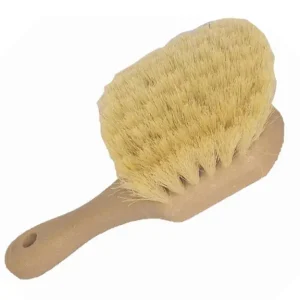 Scrub Brushes